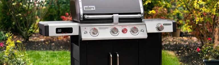 barbacoas inteligentes; Weber