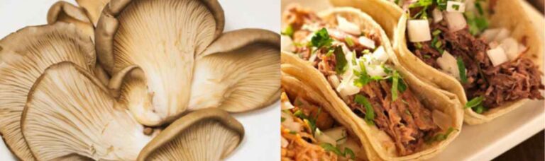 Hongos y Setas para tu barbacoa